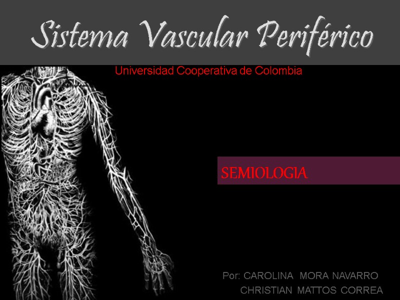 Sistema Vascular Periférico Por: CAROLINA  MORA NAVARRO      